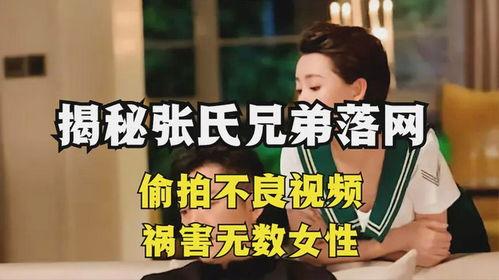 免费不良视频在线观看,揭秘免费不良视频在线观看的陷阱与风险 第2张 免费不良视频在线观看,揭秘免费不良视频在线观看的陷阱与风险 第2张