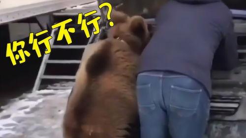 爆料版搞笑配音视频,揭秘搞笑配音视频背后的秘密