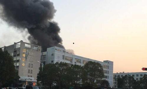 义乌火灾最新爆料荷叶塘