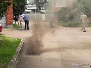 义乌火灾最新爆料荷叶塘 第3张 义乌火灾最新爆料荷叶塘 第3张