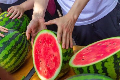 免费学校吃瓜,揭秘教育公平的甜蜜与苦涩 第2张 免费学校吃瓜,揭秘教育公平的甜蜜与苦涩 第2张